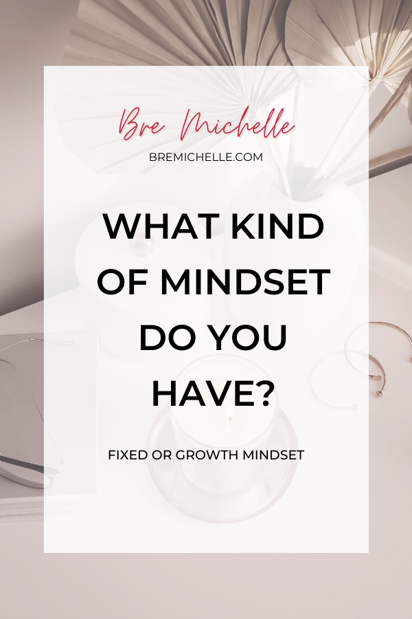 Bre Michelle What Kind Of Mindset Do You Have? Fixed or Growth Mindset for Millennial Women